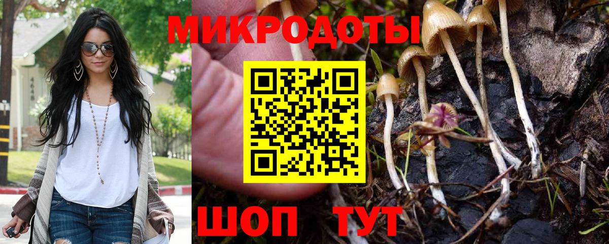 Псилоцибиновые грибы мицелий  Вход с VPN  Кировск 
